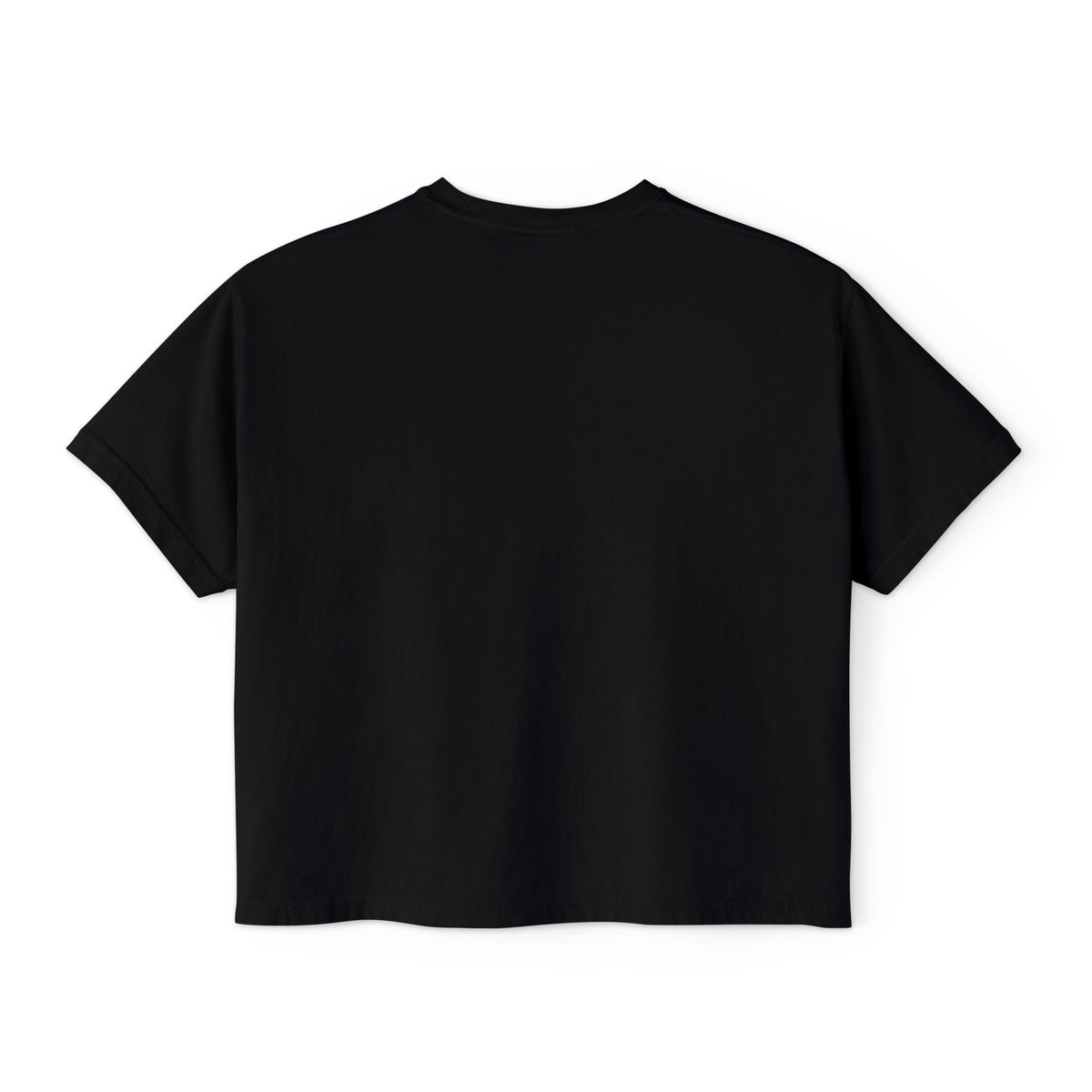 Women's Boxy Tee — Brown Spaniel Dog Graphic T‑Shirt