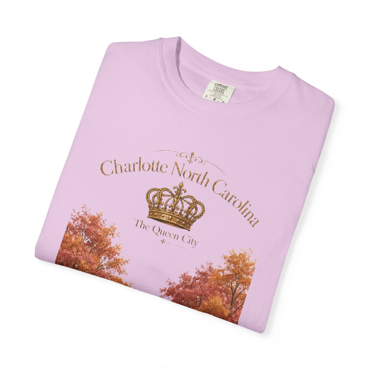 Charlotte North Carolina Autumn Tree Lane T-Shirt