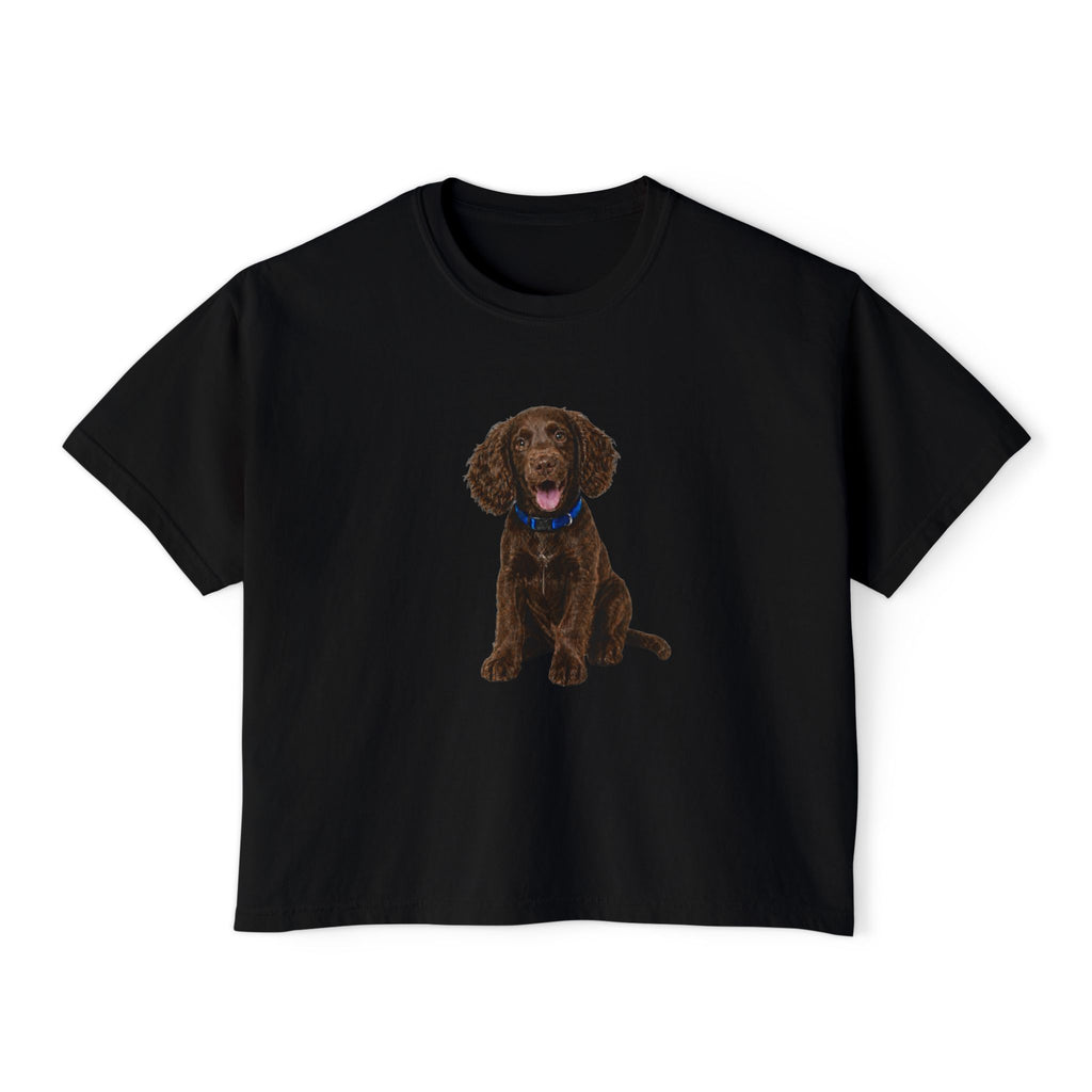 Women's Boxy Tee — Brown Spaniel Dog Graphic T‑Shirt