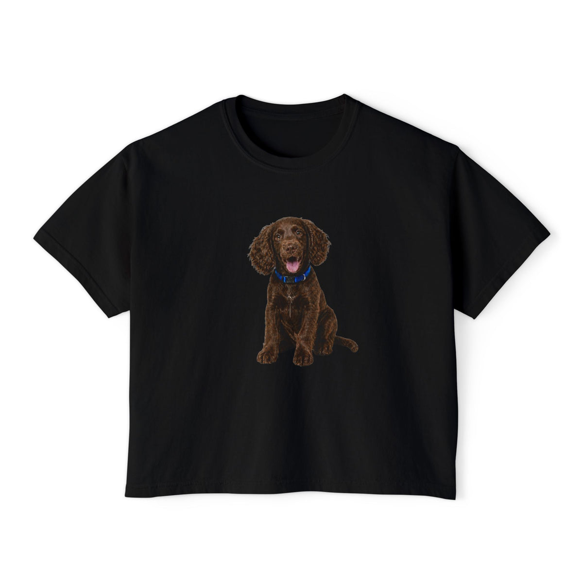 Women's Boxy Tee — Brown Spaniel Dog Graphic T‑Shirt
