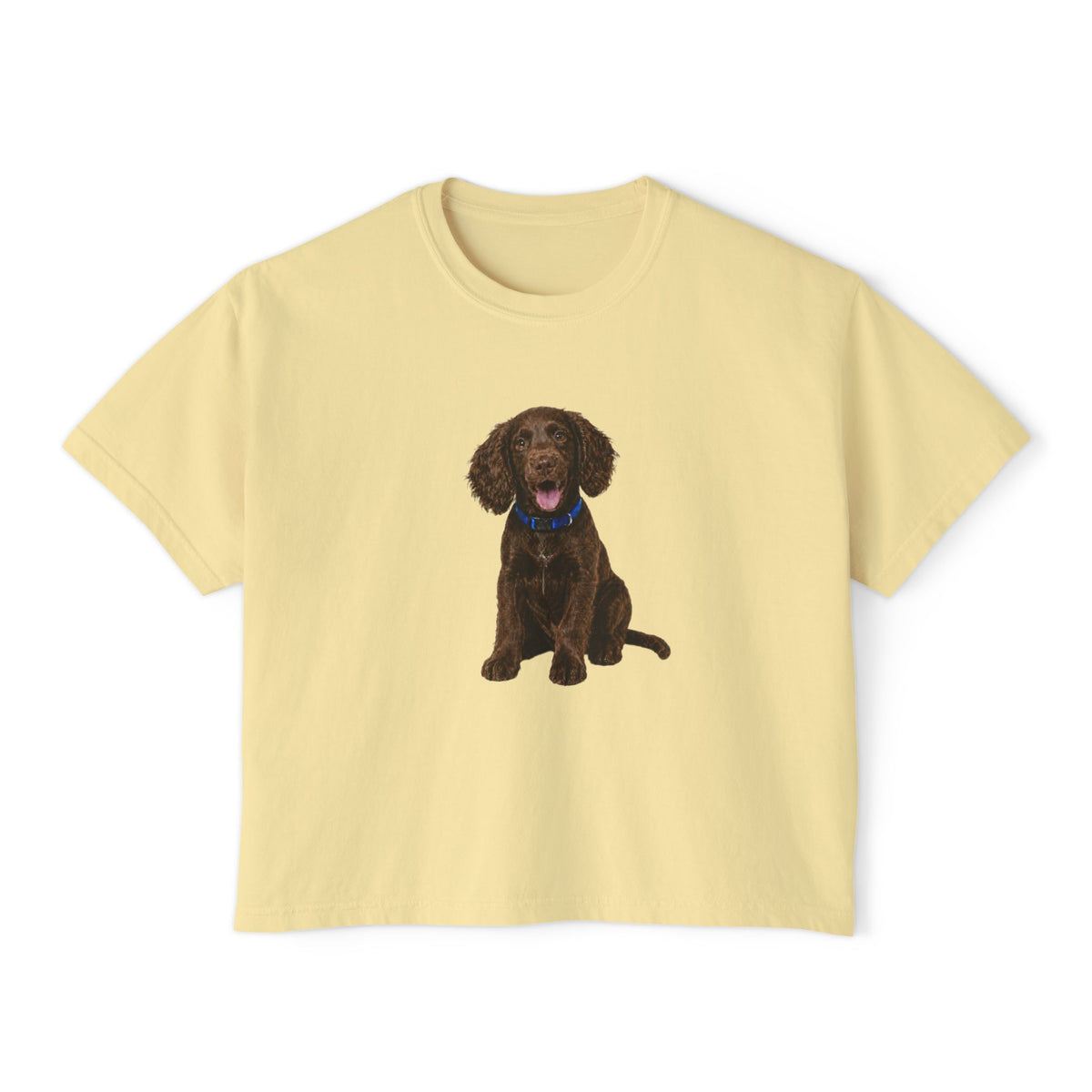 Women's Boxy Tee — Brown Spaniel Dog Graphic T‑Shirt