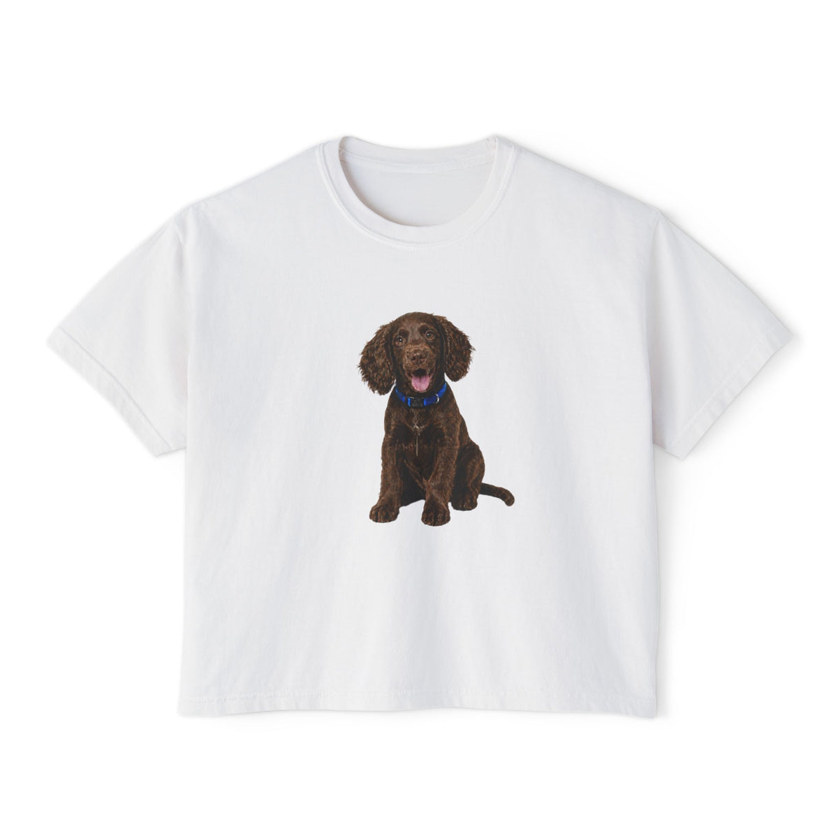 Women's Boxy Tee — Brown Spaniel Dog Graphic T‑Shirt