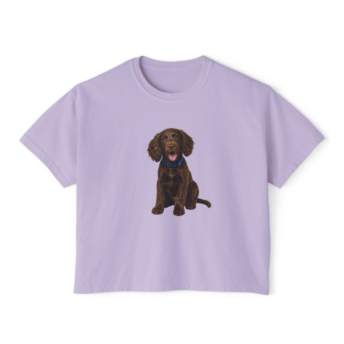 Women's Boxy Tee — Brown Spaniel Dog Graphic T‑Shirt