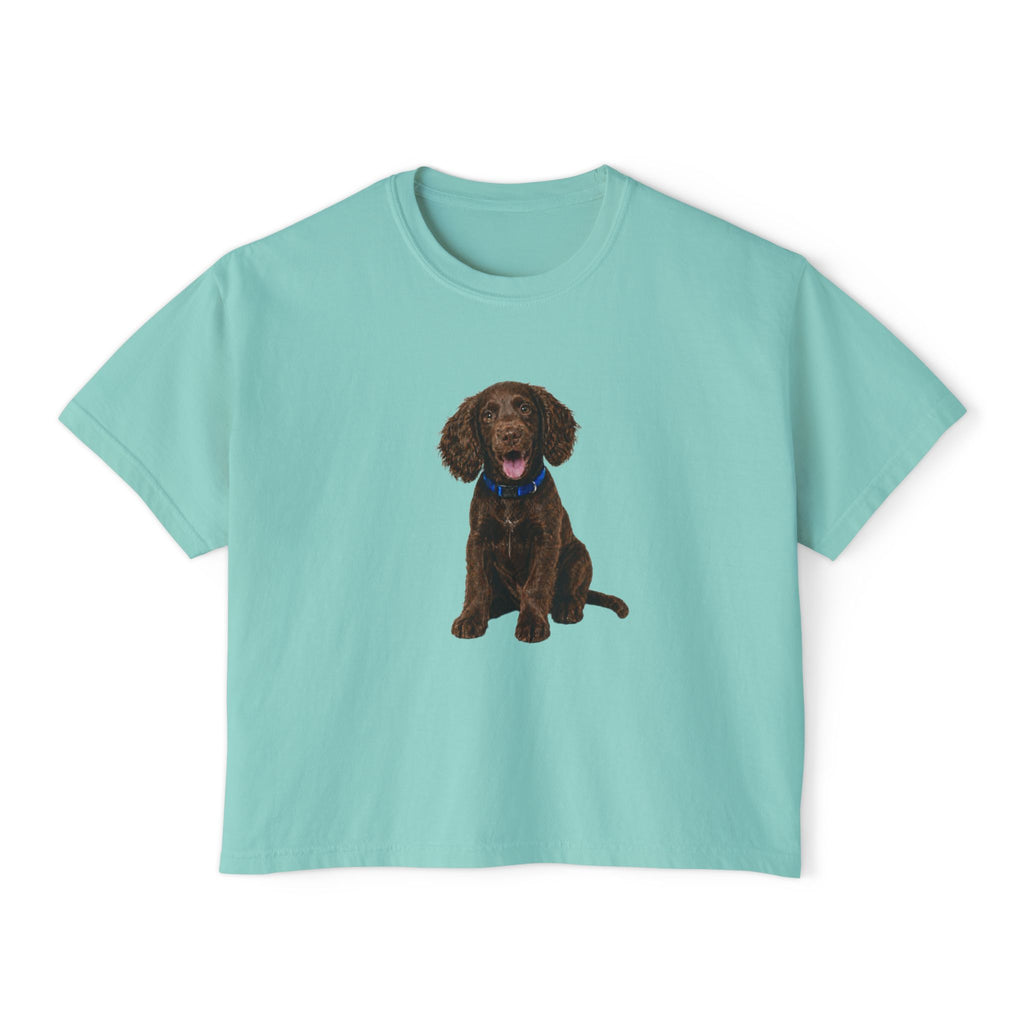 Women's Boxy Tee — Brown Spaniel Dog Graphic T‑Shirt