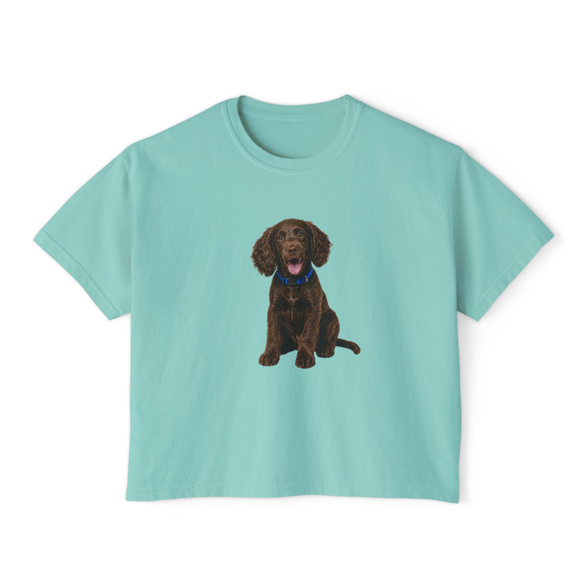 Women's Boxy Tee — Brown Spaniel Dog Graphic T‑Shirt
