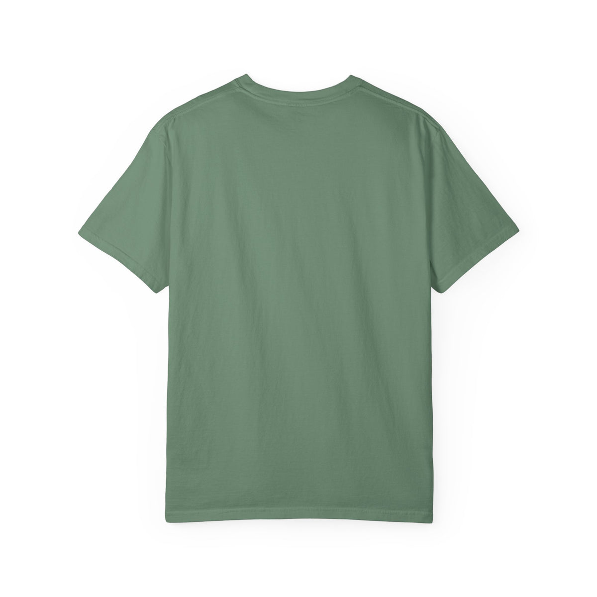 A Dad Like You Is Hard to Find T-Shirt