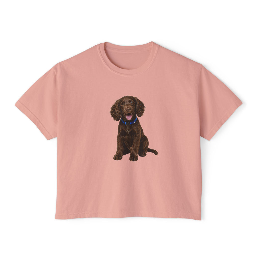 Women's Boxy Tee — Brown Spaniel Dog Graphic T‑Shirt