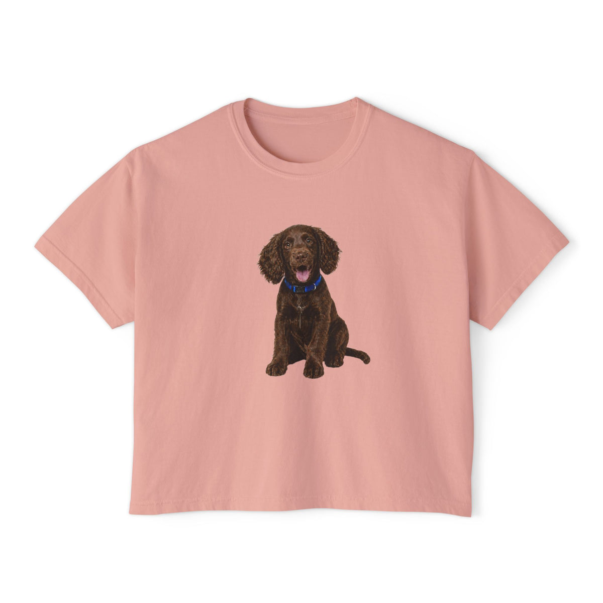 Women's Boxy Tee — Brown Spaniel Dog Graphic T‑Shirt
