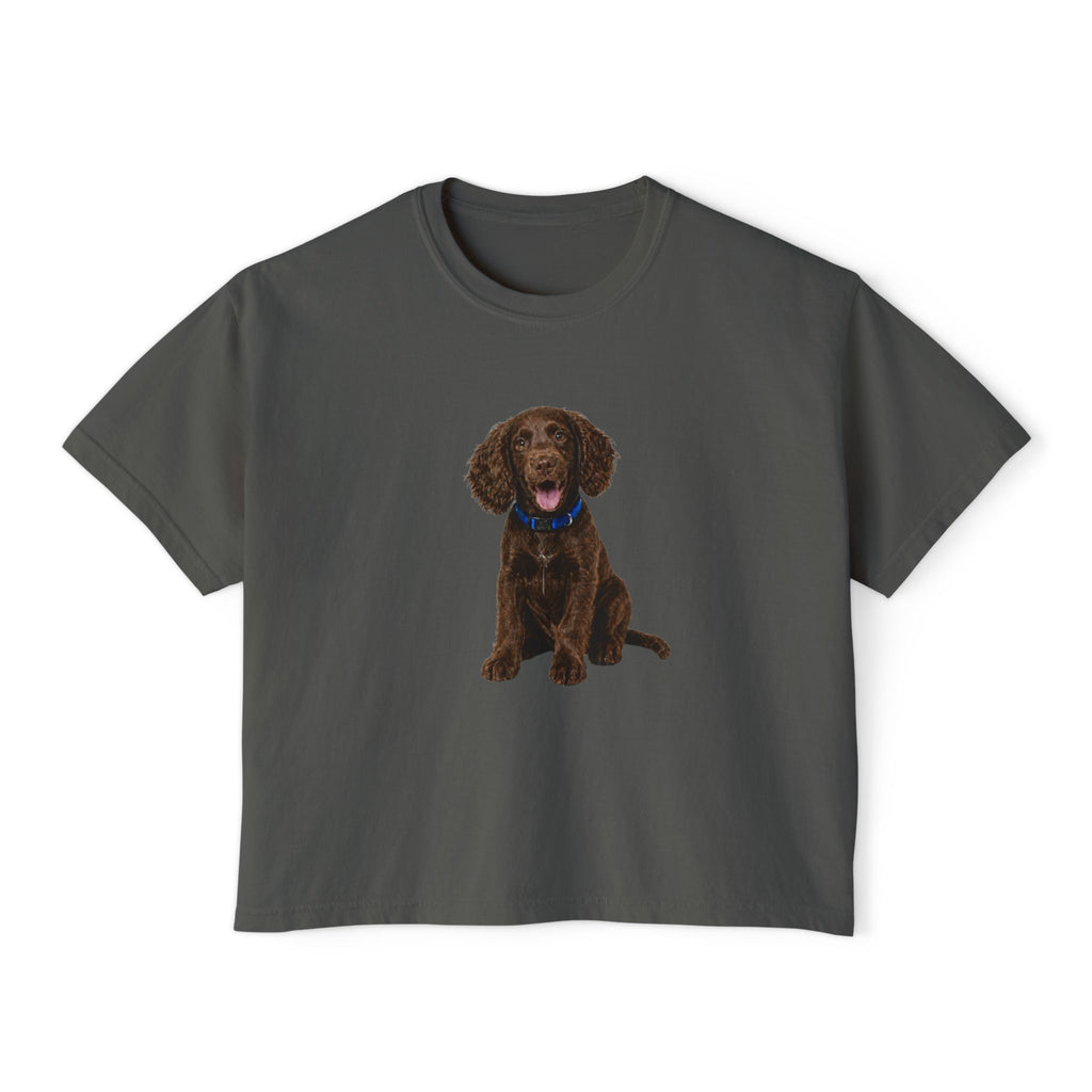 Women's Boxy Tee — Brown Spaniel Dog Graphic T‑Shirt