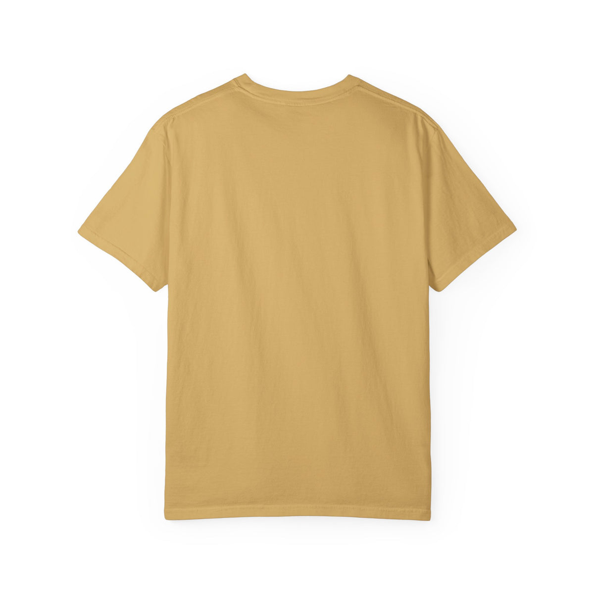 A Dad Like You Is Hard to Find T-Shirt