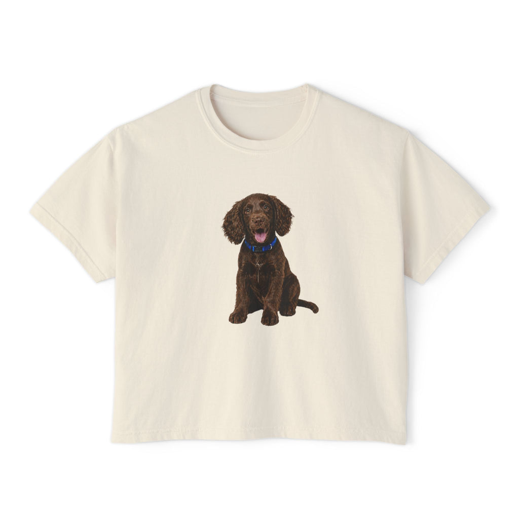 Women's Boxy Tee — Brown Spaniel Dog Graphic T‑Shirt
