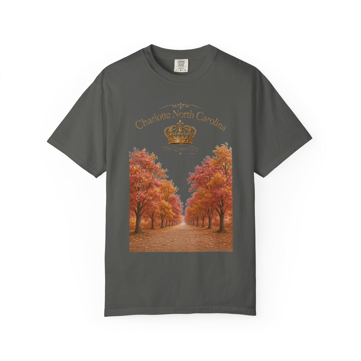Charlotte North Carolina Autumn Tree Lane T-Shirt
